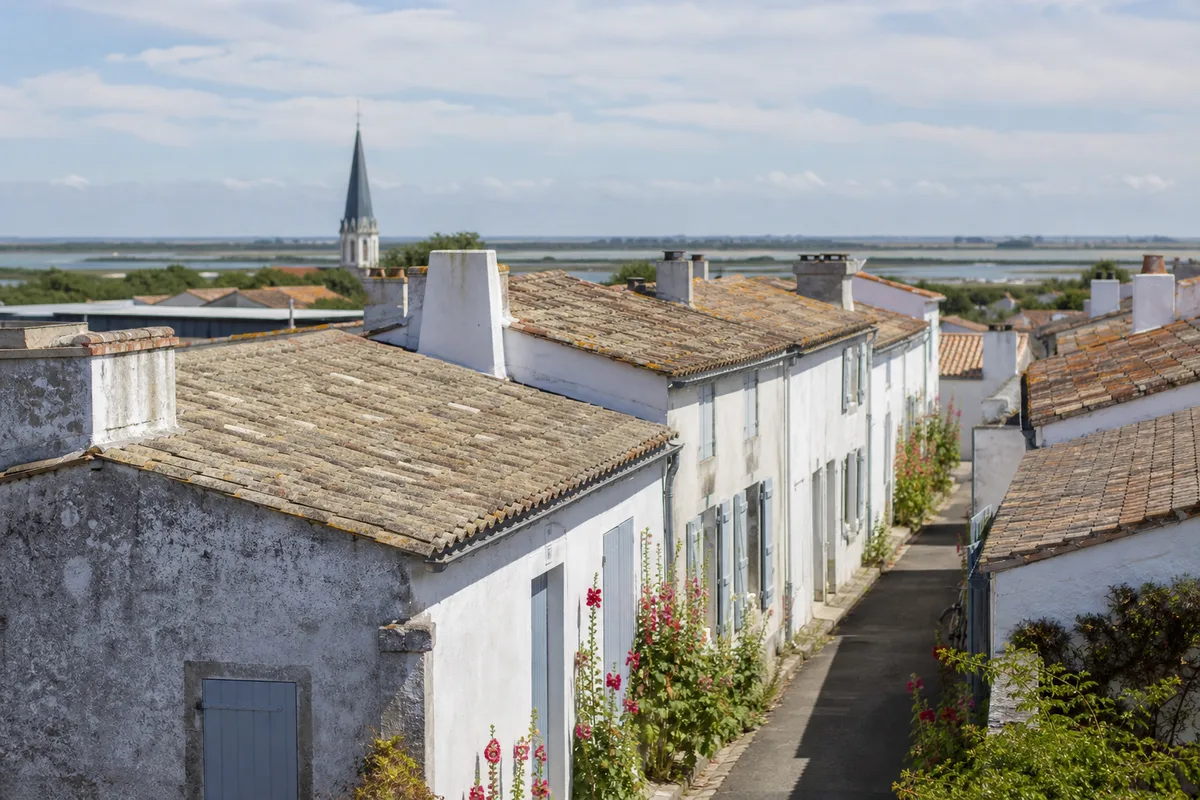 Couvreur Île de Ré : toiture rétaise, vent et règles locales