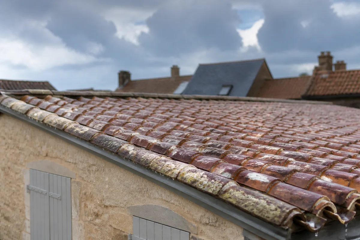 Fuite de toiture à La Rochelle : trouver l'origine de l'eau