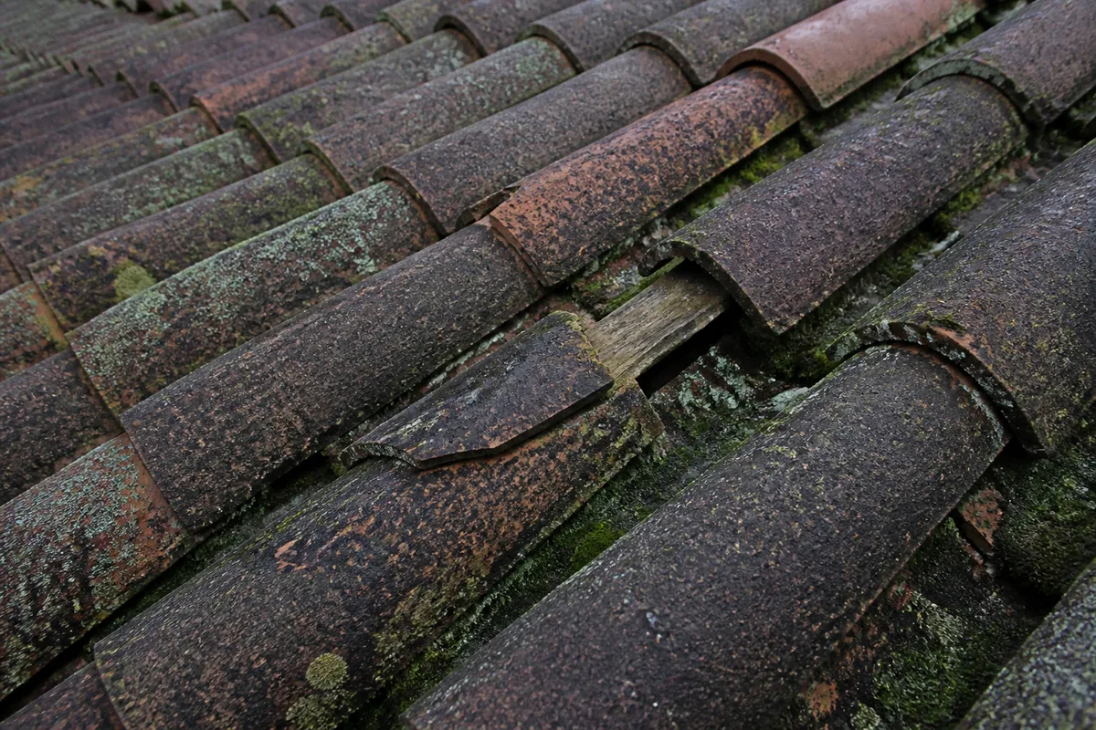 Versant de tuiles canal anciennes couvert de mousses et de lichens sur un toit charentais