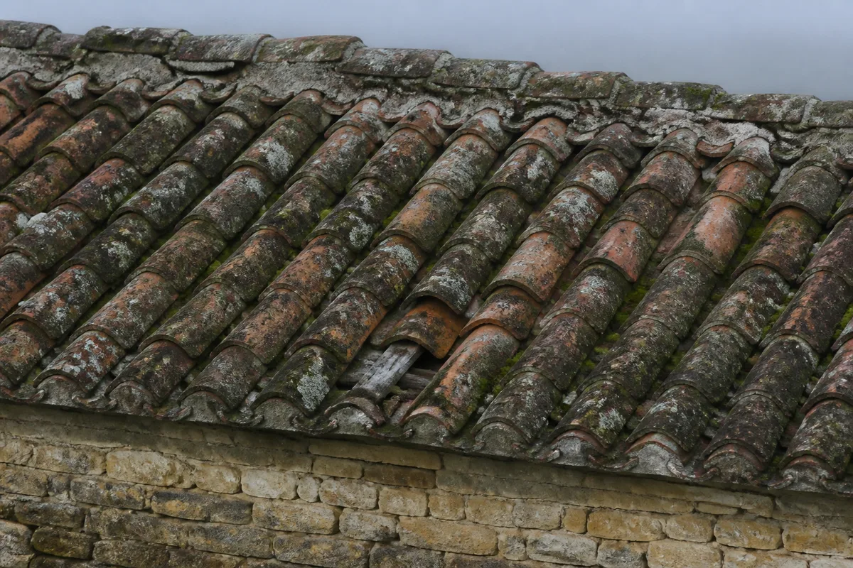 Versant nord d&rsquo;une ancienne toiture en tuile canal couvert de mousses et de tuiles feuilletées